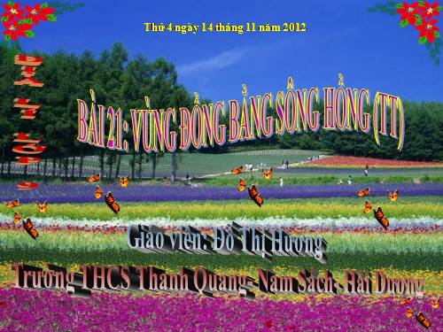 Bài 21. Vùng Đồng bằng sông Hồng (tiếp theo)