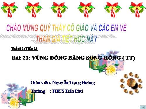 Bài 21. Vùng Đồng bằng sông Hồng (tiếp theo)