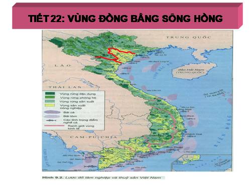 Bài 20. Vùng Đồng bằng sông Hồng