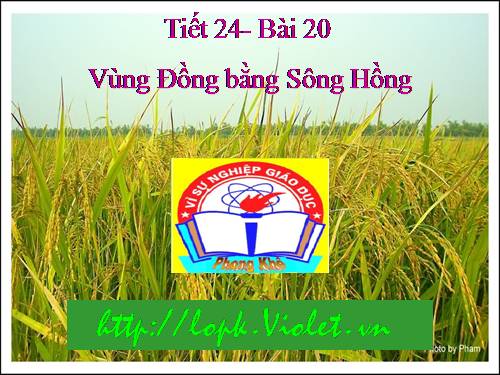 Bài 20. Vùng Đồng bằng sông Hồng