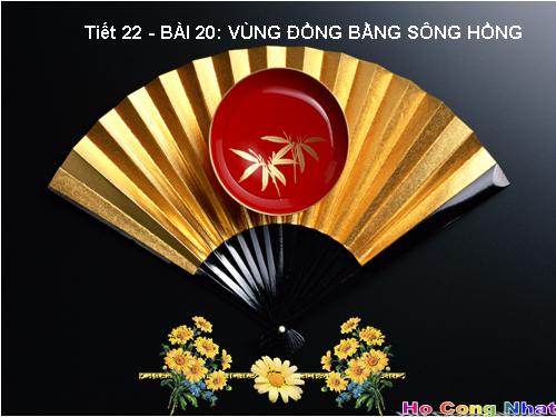 Bài 20. Vùng Đồng bằng sông Hồng