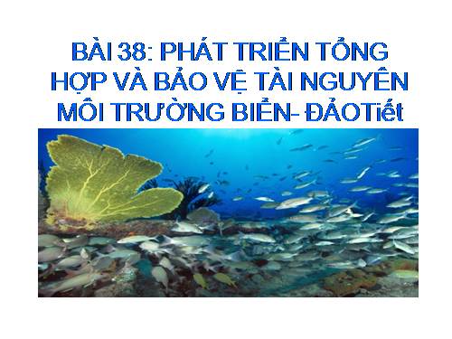 Bài 38. Phát triển tổng hợp kinh tế và bảo vệ tài nguyên, môi trường biển - đảo