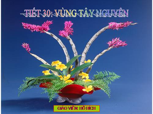 Bài 28. Vùng Tây Nguyên