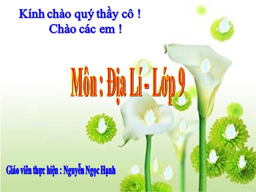 Bài 33. Vùng Đông Nam Bộ (tiếp theo)