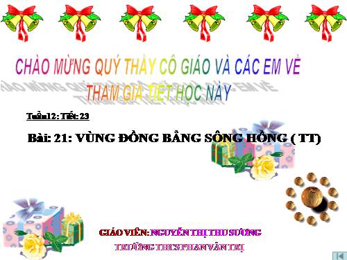 Bài 21. Vùng Đồng bằng sông Hồng (tiếp theo)