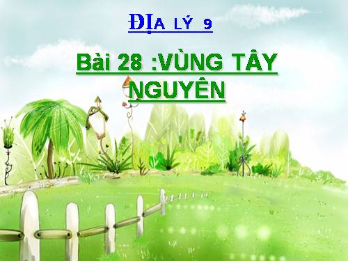 Bài 28. Vùng Tây Nguyên