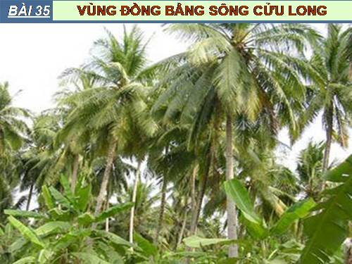 Bài 35. Vùng Đồng bằng sông Cửu Long