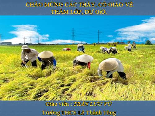 Bài 36. Vùng Đồng bằng sông Cửu Long (tiếp theo)