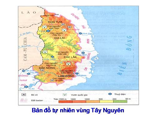 Bài 28. Vùng Tây Nguyên