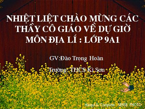 bai giang thi giao vien gioi