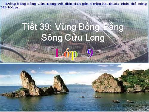 Bài 35. Vùng Đồng bằng sông Cửu Long