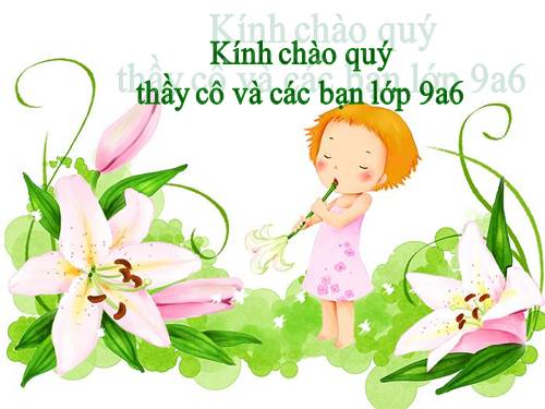 Bài 41. Địa lí tỉnh (thành phổ)