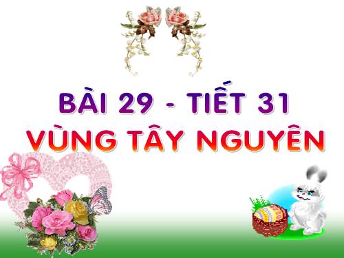 Bài 29. Vùng Tây Nguyên (tiếp theo)