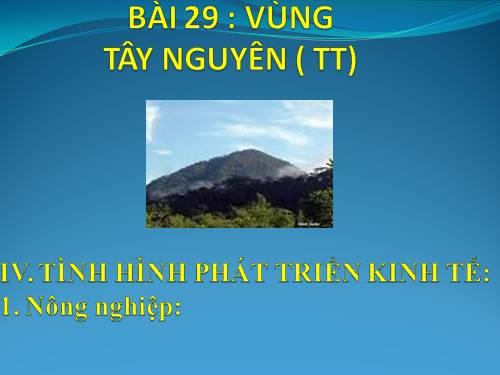 Bài 29. Vùng Tây Nguyên (tiếp theo)