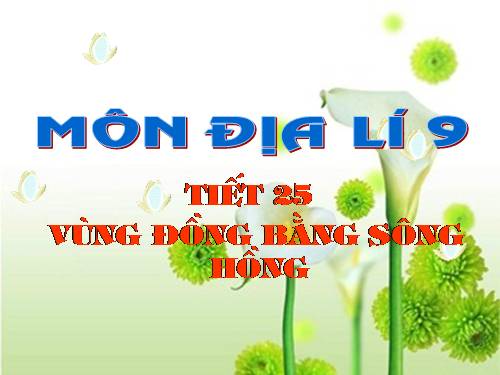 Bài 20. Vùng Đồng bằng sông Hồng