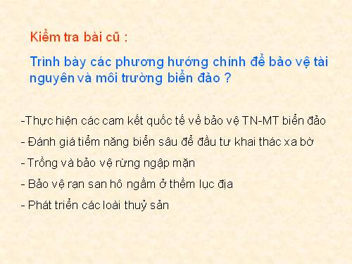 Bài 40. Thực hành: Đánh giá tiềm năng kinh tế của các đảo ven bờ và tìm hiểu về ngành công nghiệp dầu khí