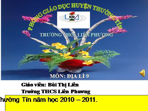 Bài 28. Vùng Tây Nguyên