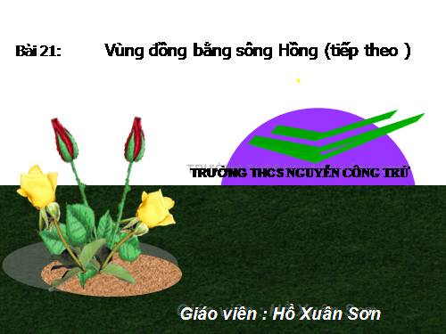 Bài 21. Vùng Đồng bằng sông Hồng (tiếp theo)