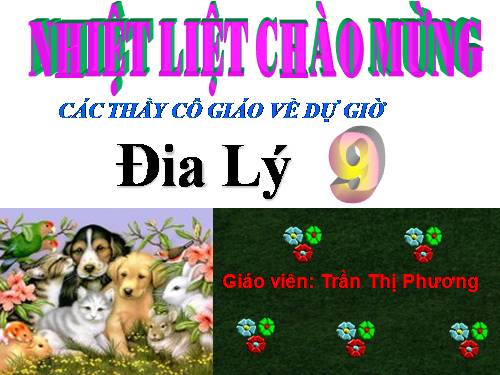 Bài 13. Vai trò, đặc điểm phát triển và phân bố của dịch vụ