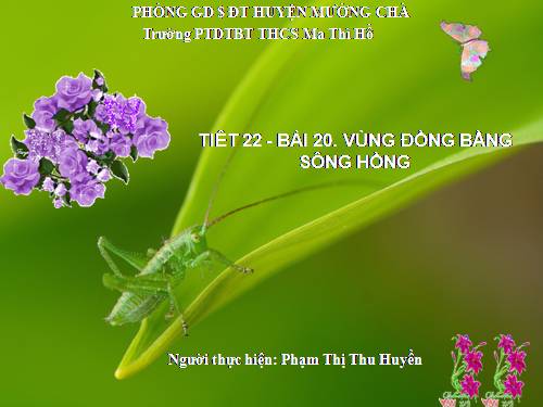 Bài 20. Vùng Đồng bằng sông Hồng