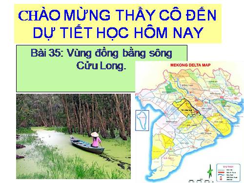 Bài 35. Vùng Đồng bằng sông Cửu Long