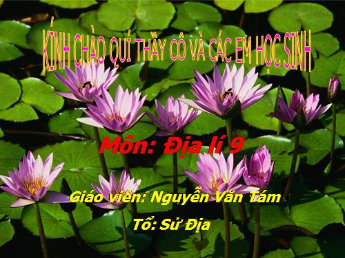 Bài 36. Vùng Đồng bằng sông Cửu Long (tiếp theo)