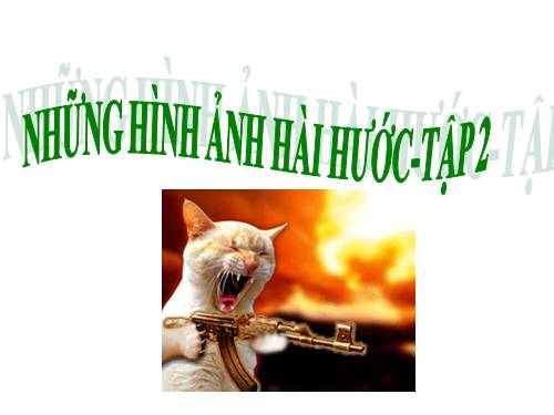 Những con vật hài hước tập 2