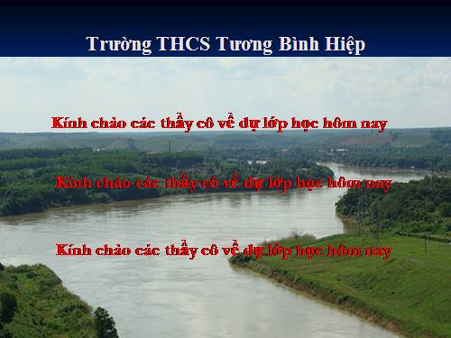 Bài 33. Vùng Đông Nam Bộ (tiếp theo)