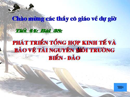 Bài 38. Phát triển tổng hợp kinh tế và bảo vệ tài nguyên, môi trường biển - đảo