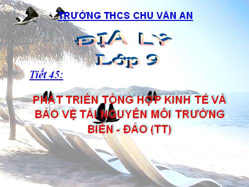 Bài 39. Phát triển tổng hợp kinh tế và bảo vệ tài nguyên, môi trường biển - đảo (tiếp theo)