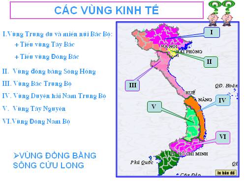 Bài 35. Vùng Đồng bằng sông Cửu Long