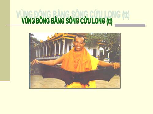 Bài 36. Vùng Đồng bằng sông Cửu Long (tiếp theo)