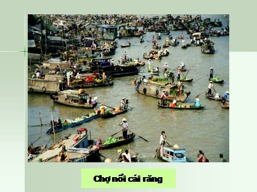 Bài 35. Vùng Đồng bằng sông Cửu Long