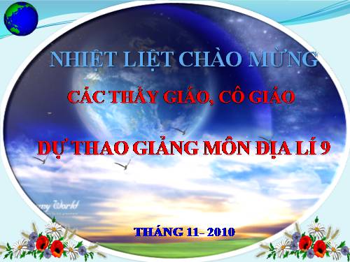 Bài 21. Vùng Đồng bằng sông Hồng (tiếp theo)