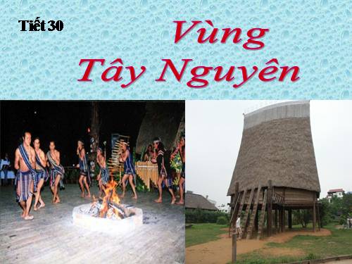 Bài 28. Vùng Tây Nguyên