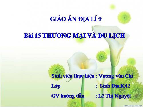 Bài 15. Thương mại và du lịch