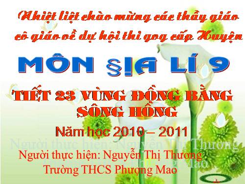 Bài 20. Vùng Đồng bằng sông Hồng