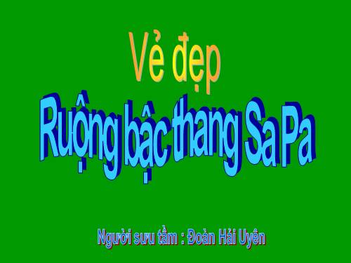 VẺ ĐẸP RUỘNG BẬC THANG SA PA