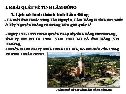 Bài 41. Địa lí tỉnh (thành phổ)