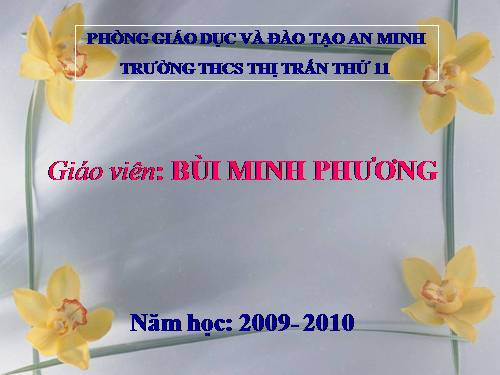 Bài 38. Phát triển tổng hợp kinh tế và bảo vệ tài nguyên, môi trường biển - đảo