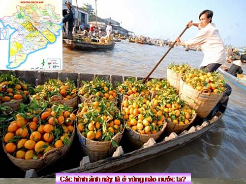 Bài 35. Vùng Đồng bằng sông Cửu Long