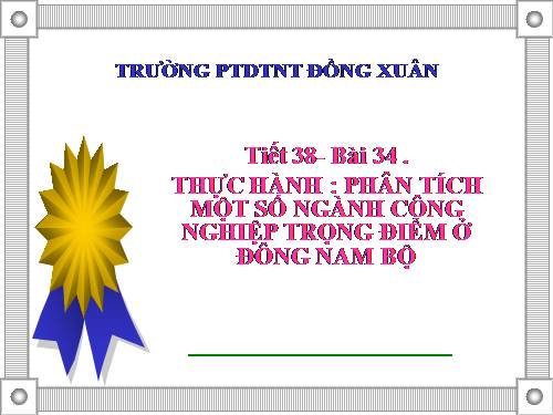 Bài 34. Thực hành: Phân tích một số ngành công nghiệp trọng điểm ở Đông Nam Bộ