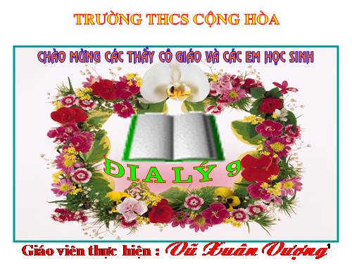 Bài 33. Vùng Đông Nam Bộ (tiếp theo)