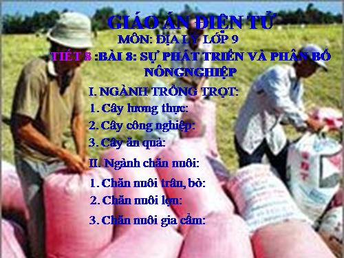 Bài 8. Sự phát triển và phân bố nông nghiệp