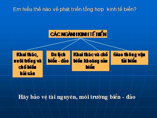 Bài 39. Phát triển tổng hợp kinh tế và bảo vệ tài nguyên, môi trường biển - đảo (tiếp theo)