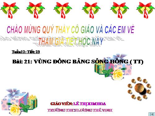 Bài 21. Vùng Đồng bằng sông Hồng (tiếp theo)