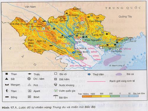 T20: VUNG TRUNG DU VA MIEN NUI BAC BO (ĐL9)