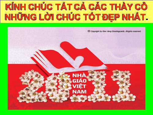 LỊCH SỬ NGÀY QUỐC TẾ HIẾN CHƯƠNG CÁC NHÀ GIÁO VÀ NGÀY NHÀ GIÁO VIỆT NAM/11