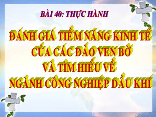 Bài 40. Thực hành: Đánh giá tiềm năng kinh tế của các đảo ven bờ và tìm hiểu về ngành công nghiệp dầu khí