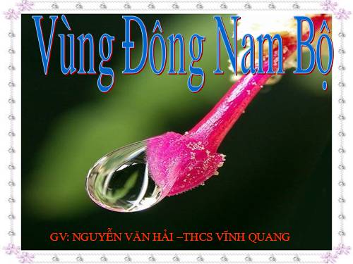 Bài 31. Vùng Đông Nam Bộ